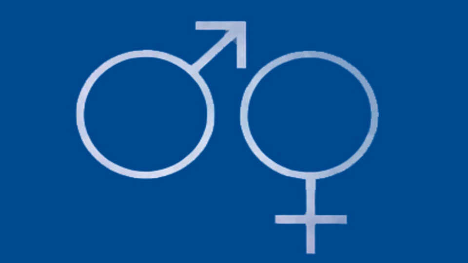 Sexuality Report Graphic