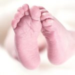 thumbnail of Trump Administration Takes First Step, Cancels Contract for Aborted Baby Parts