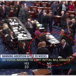 thumbnail of Heidi Rides the Wind