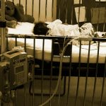 thumbnail of Let Parents Parent: My Child. My Decision.