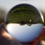 thumbnail of A World Turned Upside-Down