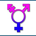 thumbnail of When He Becomes a She