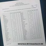 thumbnail of Will Pro-Life Candidates Survive the 2020 Election?