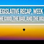 thumbnail of LEGISLATIVE RECAP, Week 4 — The Good, The Bad, and The Ugly