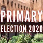 thumbnail of ALERT: Primary Election Recap & Results