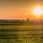thumbnail of THANK YOU: Pro-Life, Pro-Family Wave Sweeps Kansas Primaries!