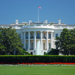 thumbnail of Who Makes a Candidate the President?