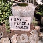 thumbnail of Action Alert: Ask your legislators to support Israel